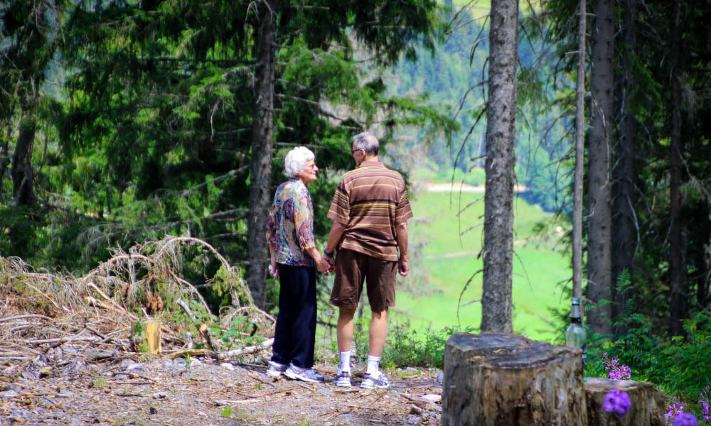 An elderly couple holds hands in a pine forest, looking out together at a lush green valley in the distance - www.northplattemedicare.com